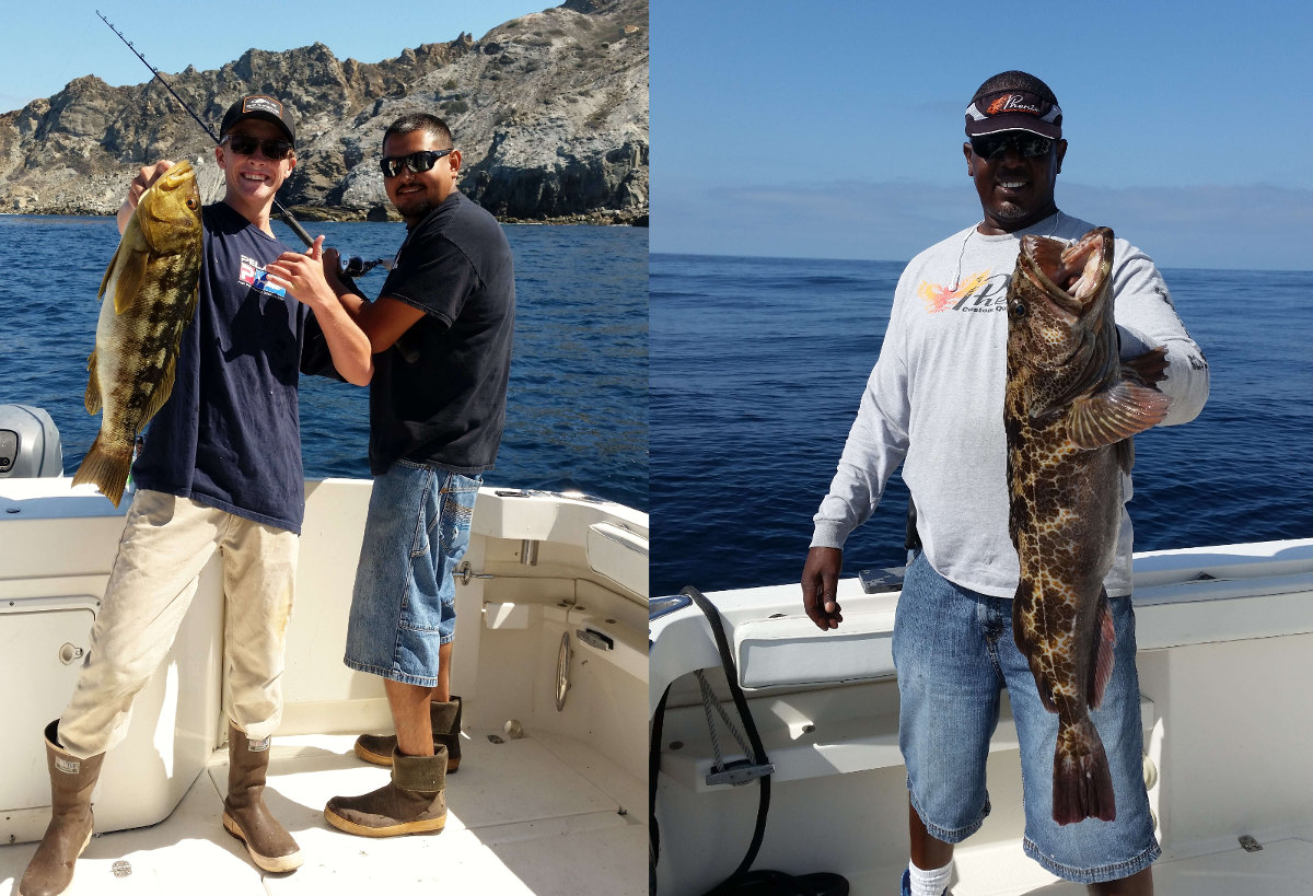 Calico Bass and Lingcod caught with LA Sportfishing